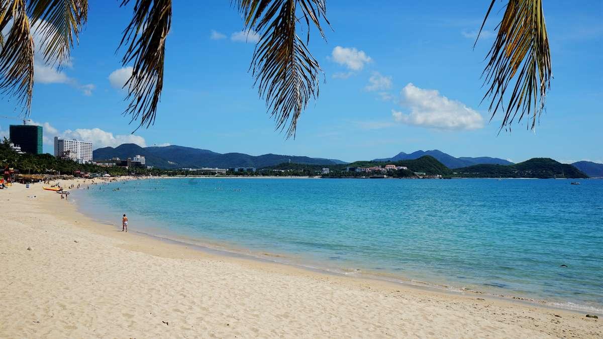轻盈自然,彰显个性:Koyee单层无塑无胶纸吸管